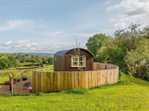 1 Bed in Hoarwithy 93441